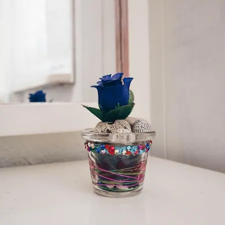 Cherie 公寓 特罗吉尔